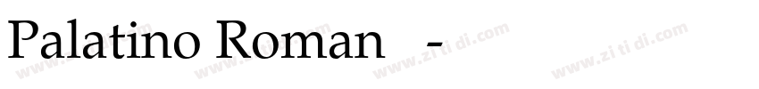 Palatino Roman 常规字体转换